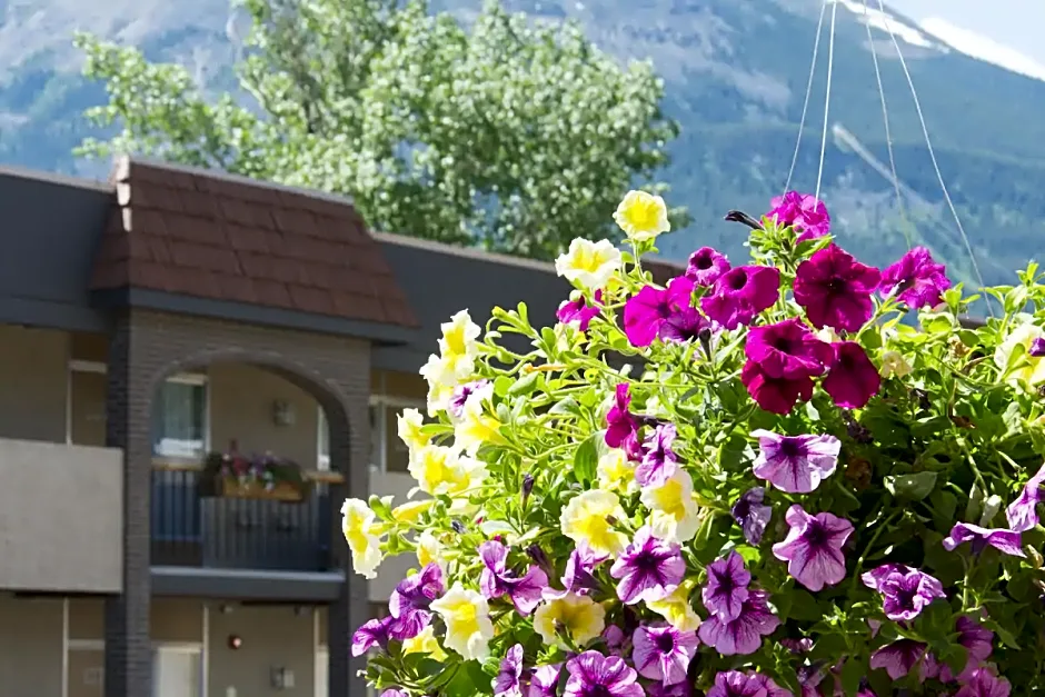 Maligne Lodge