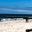 The Shores Inn