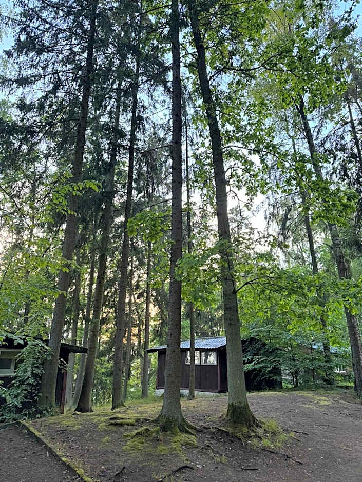 Nova Mazury