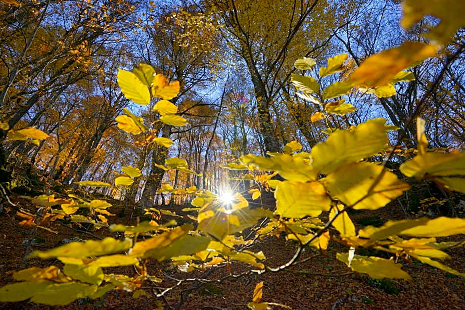 HOTEL HOLIDAYS a Barrea - Natura, Relax e Benessere nel Parco d'Abruzzo