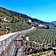 Alishan B&B YunMinGi