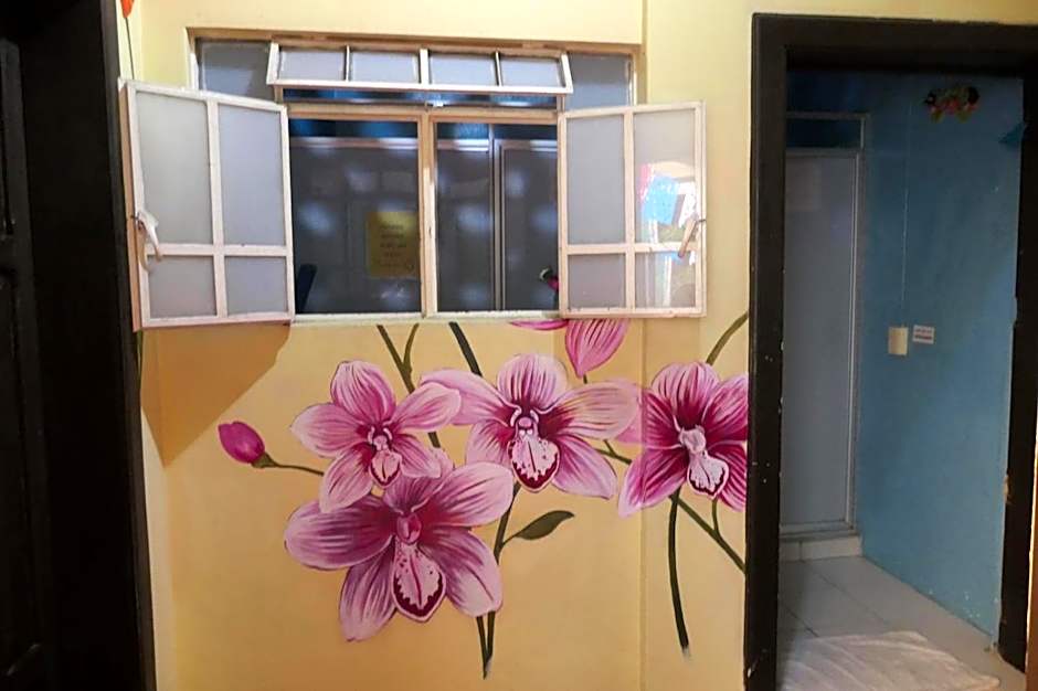 Casa Kraken Hostel
