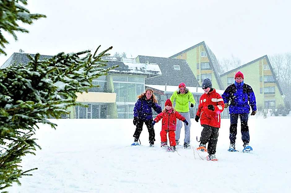 VTF Le Domaine des Puys