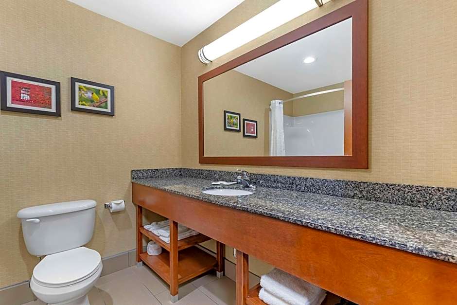 Comfort Inn & Suites Grinnell near I-80
