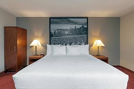 Standard King Room - Non Smoking - Non Pet Friendly