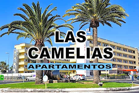Las Camelias Apartments