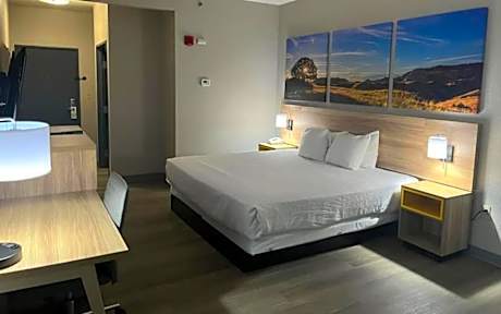 King Room - Pet Friendly/Non-Smoking