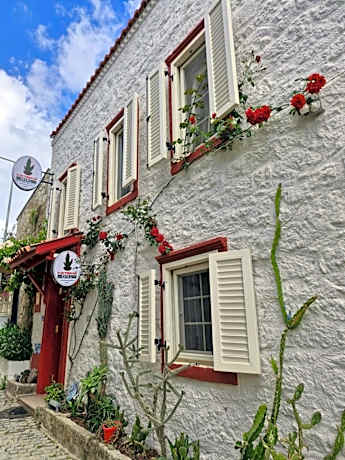kaktushan otel