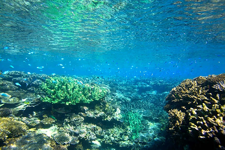 Mackerel Islands
