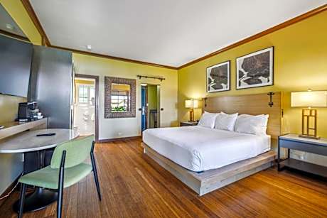 Single Room with Garden View