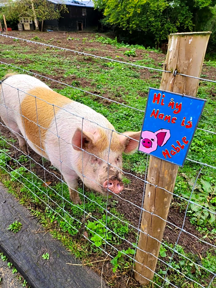Farmhouse B&B Family stay or Romantic break, on our smallholding close to Narberth