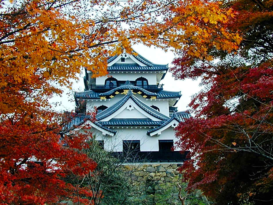 Toyoko Inn Hikone-eki Higashi-guchi