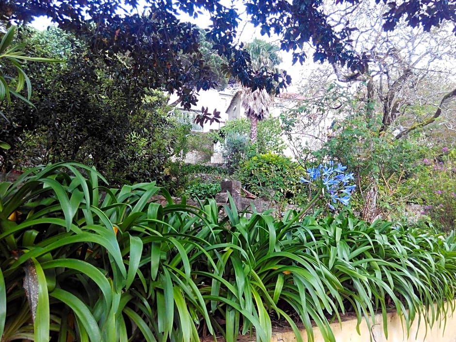 Guest House Villa dos Poetas