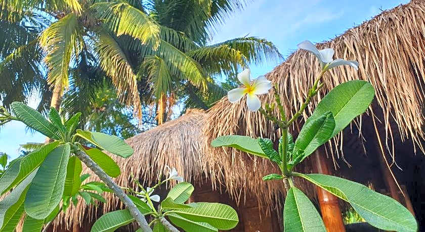 SAME SAME Bungalows - ECO Friendly