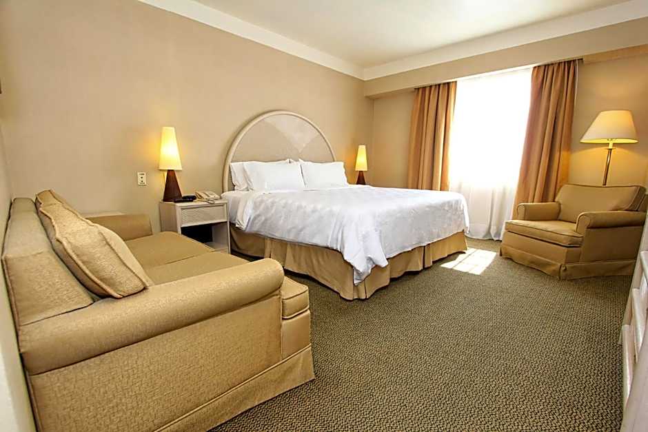 Holiday Inn Leon-Convention Center By IHG