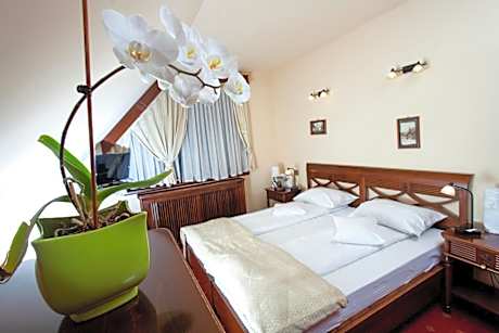 Pension Brasovu Vechi