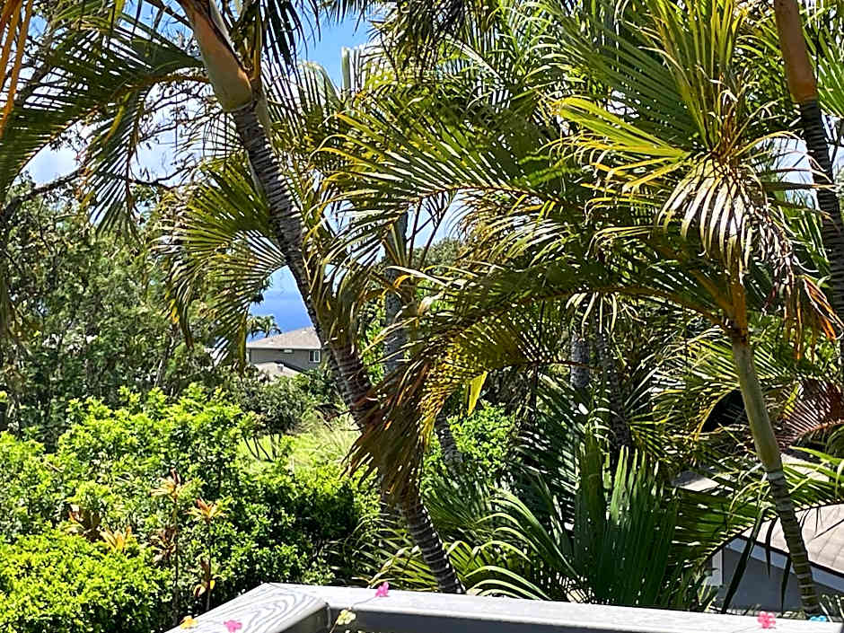 Puu Koa Palms vacation rental