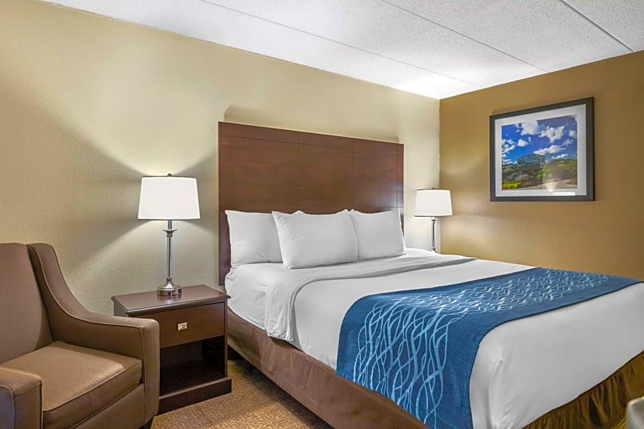 Comfort Inn Grand Rapids Airport