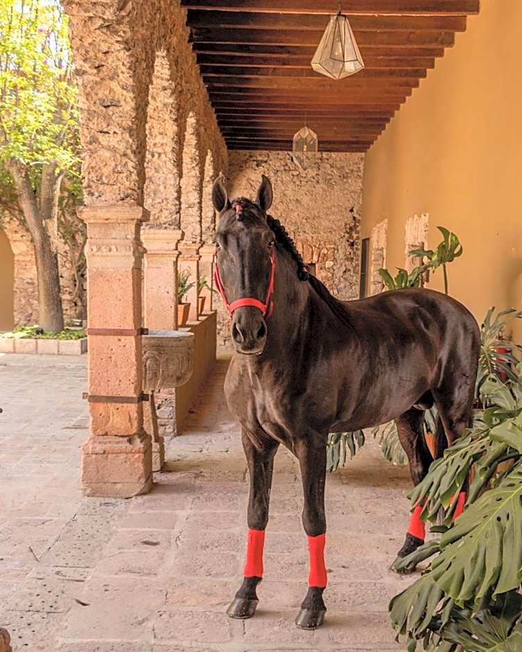 Hacienda El Salitre Hotel & Spa