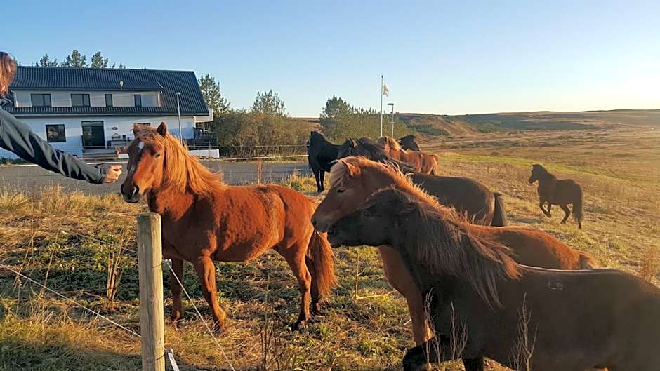 Guesthouse Bitra B&B