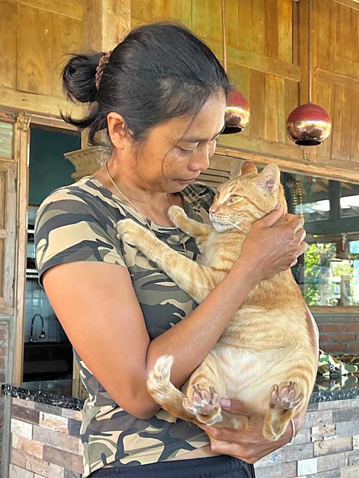 PINOKKIO B&B Restaurant