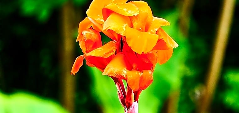 The Originals City, Hôtel Belova, Cayenne Sud