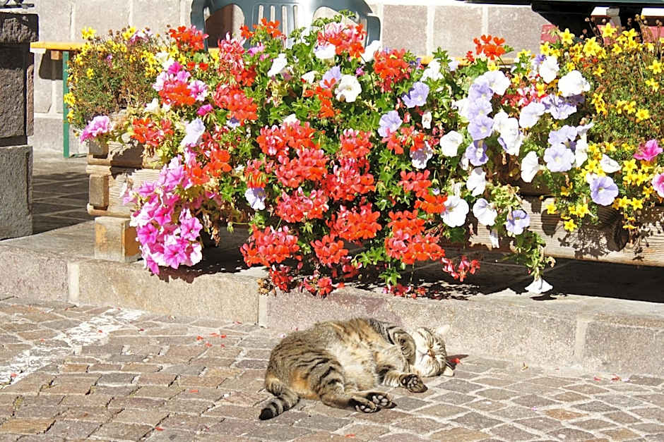 Berg Hotel Latemar Spitze