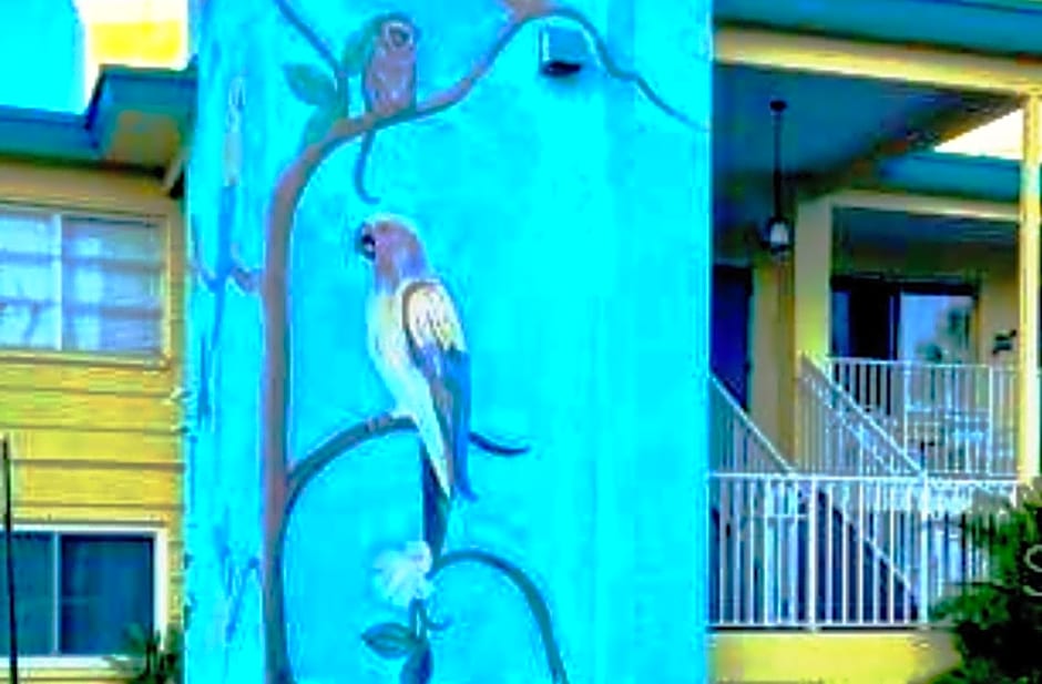 Searenity, Waterside studio in the heart of Treasure Island, walk to beach