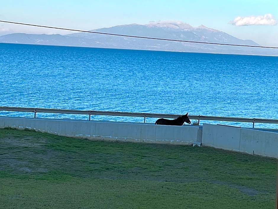 Balance Accommodation