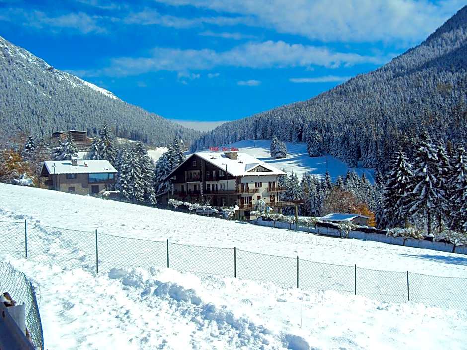 Hotel Des Alpes