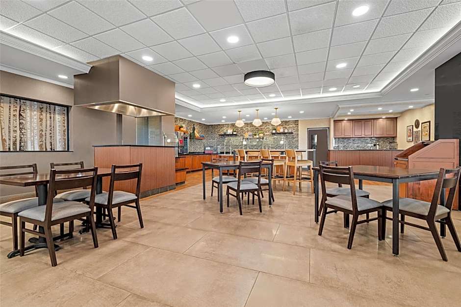 Drury Plaza Hotel St. Louis Creve Coeur