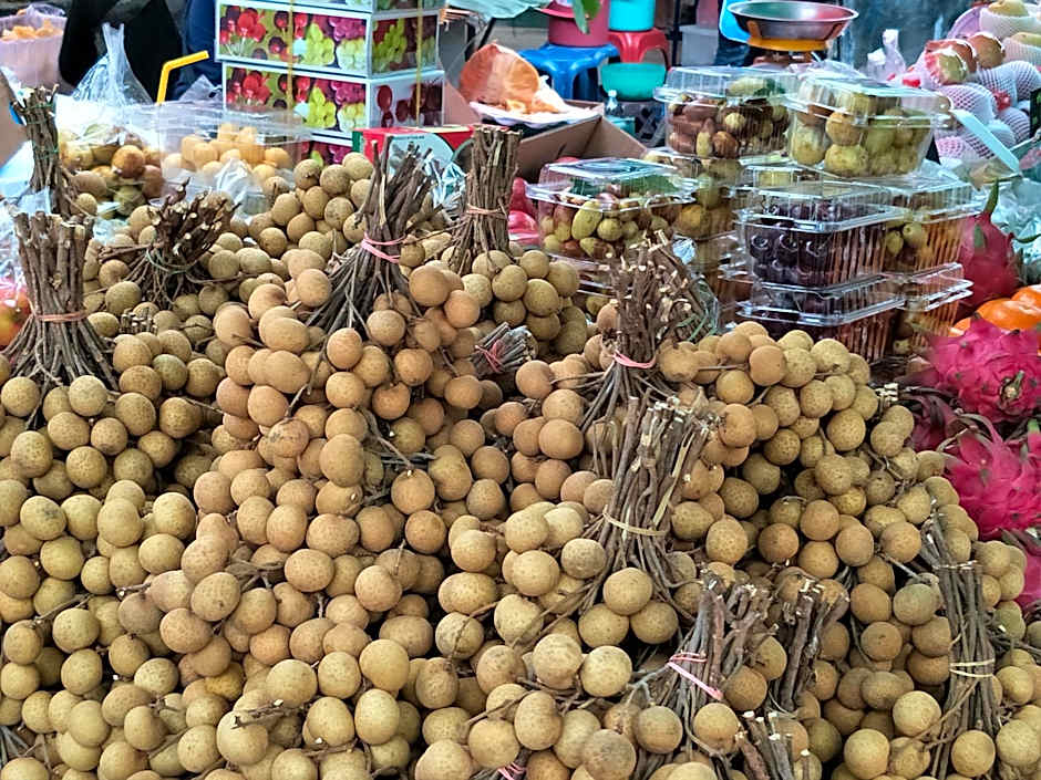 Sandy Serviced Apartment