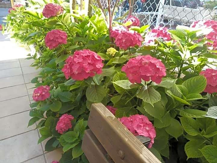 B&B Villa Rocchi