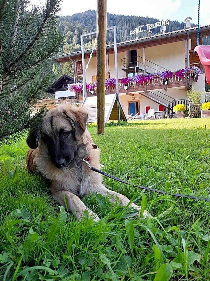 Alpine Touring Hotel-petfriendly