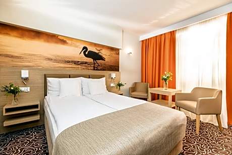 Standard  Double Room