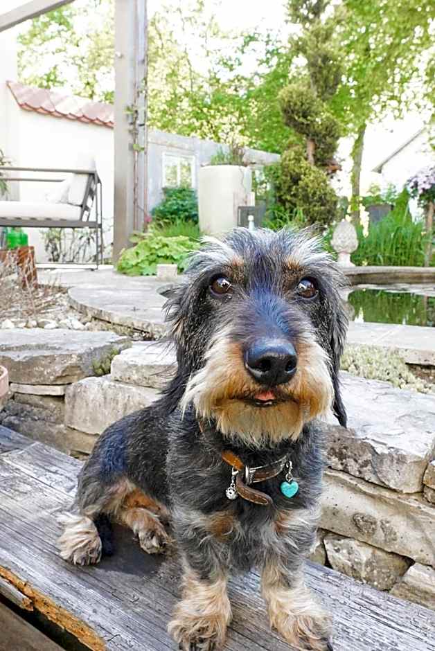 Boutique-Apartments am Ledererturm