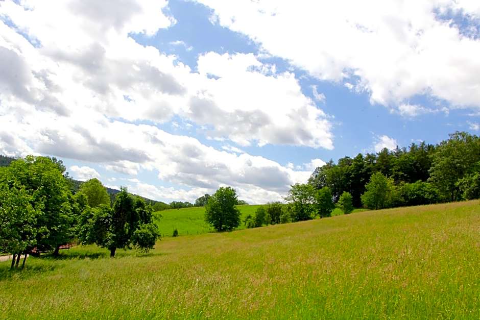 Natur & Wander Hotel Gassbachtal