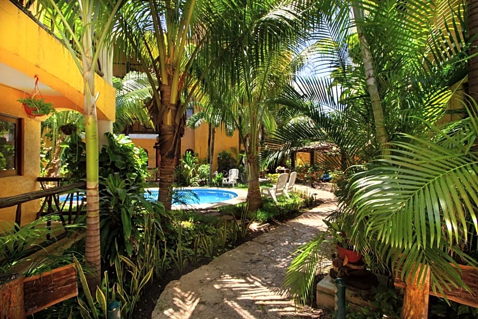 Hotel Bosque Caribe, 5th Av. Zone
