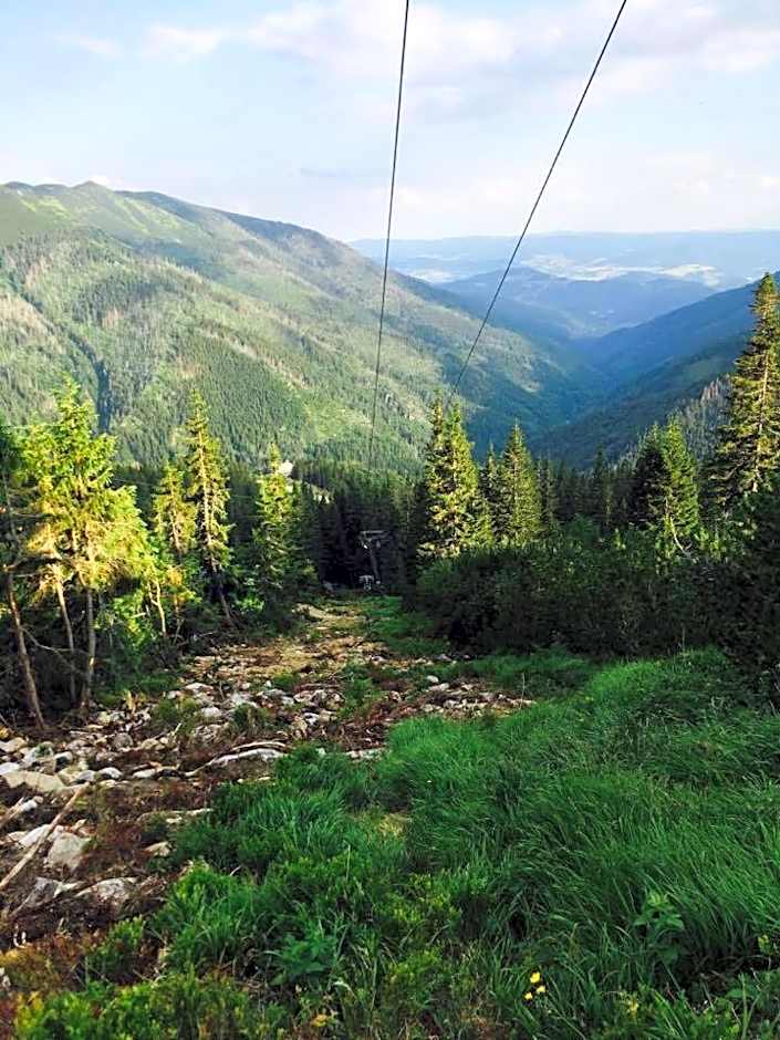 Chata Kosodrevina - Turistická ubytovňa