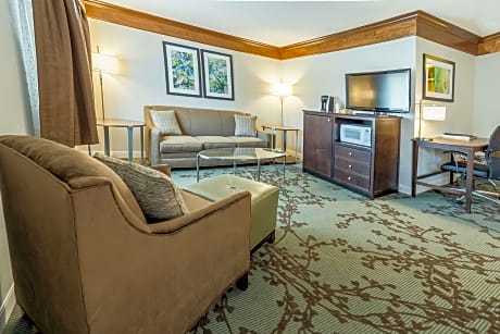 2 Queen Beds, Non-Smoking, Junior Suite, Third Bed Is A Sofabed, Microwave And Refrigerator, Desk, Lounge Chair, Continental Breakfast