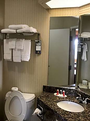 Double Room with Two Double Beds - Non-Smoking