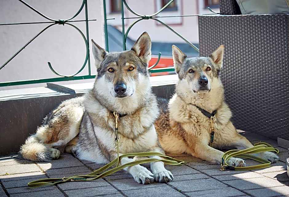 Hotel Wechselberger by Alpeffect Hotels