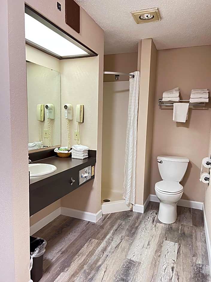 Viking Arms Inn - Ludington