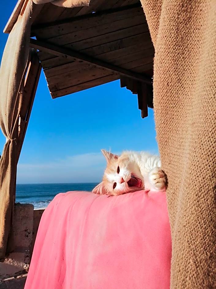 AJARIF ⴰⵊⴰⵔⵉⴼ - Fisherman cabin