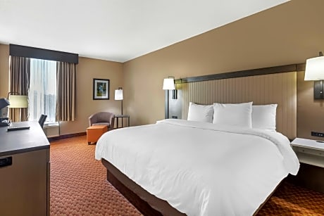 1 King Bed, Non-Smoking, High Speed Internet Access, Business Plus Room, Refrigerator, Full Breakfas