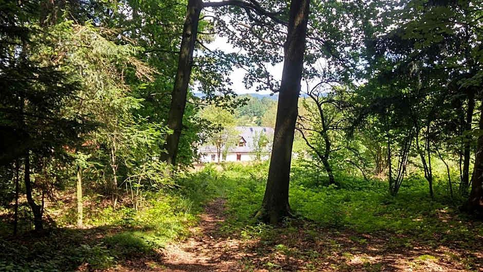 Pokoje Gościnne Art- Dworek