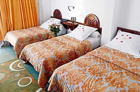 Standard Family Room