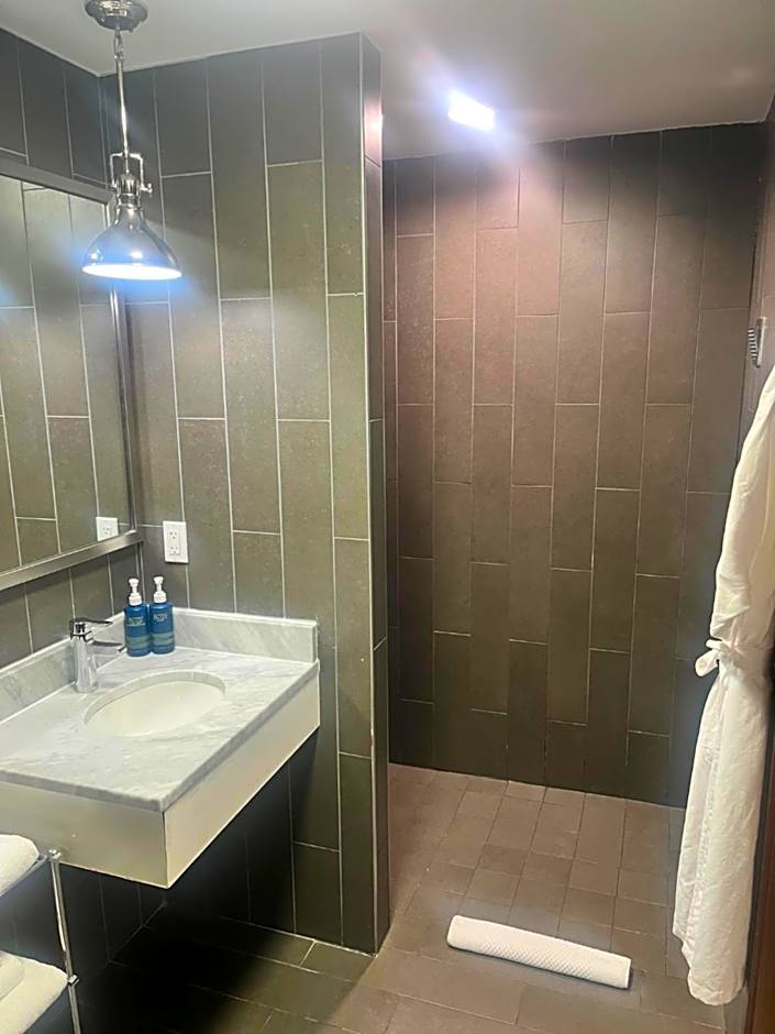 Four Points by Sheraton New York Downtown