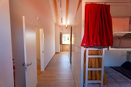 Single Bed in Dormitory Room