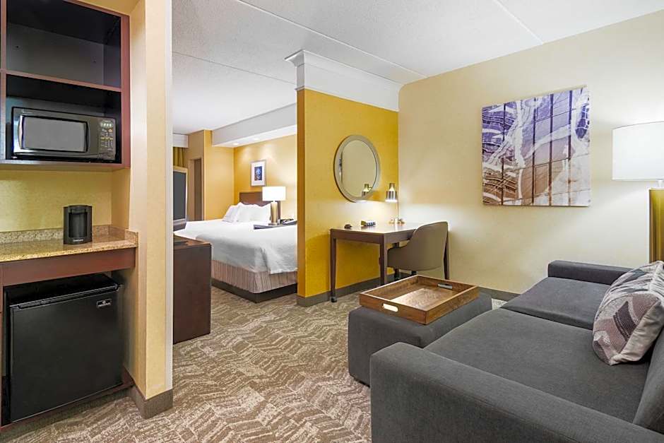 SpringHill Suites by Marriott Wheeling Triadelphia Area